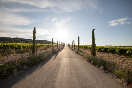 Destination Provence · Villa La Coste in Aix-en-Provence