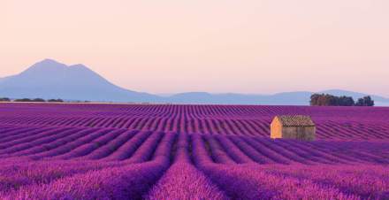 Villa La Coste · Luxury Hotel South of France, near Aix