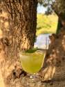 Hotel Swimming Pool &amp; Bar Provence · Villa La Coste · Aix-en-Provence